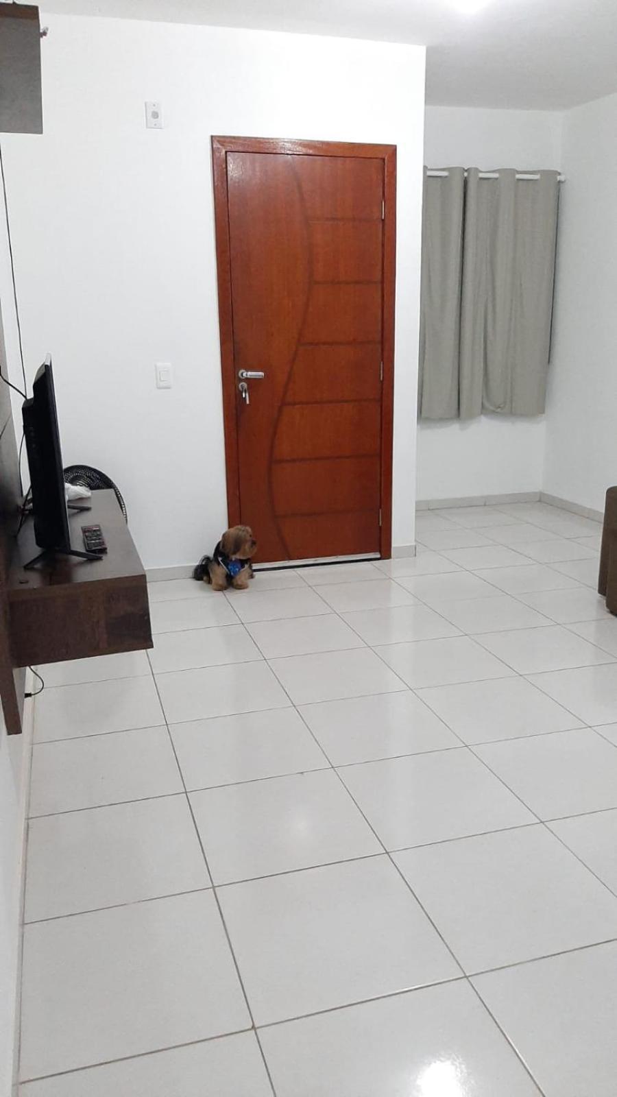 Jockey Family_suave * Vila Velha (Espirito Santo)